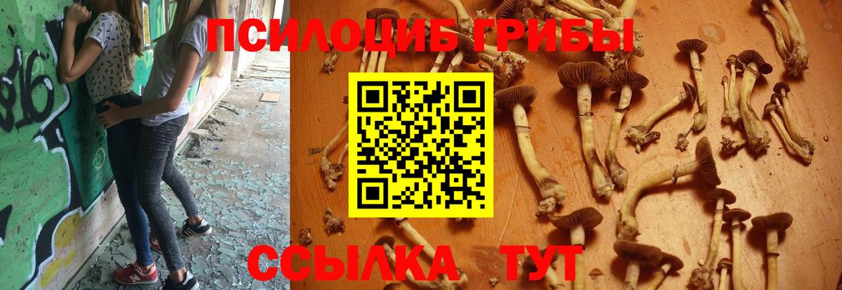 Галлюциногенные грибы MAGIC MUSHROOMS  Псилоцибиновые грибы Psilocybe  Новочеркасск  Вход с VPN 