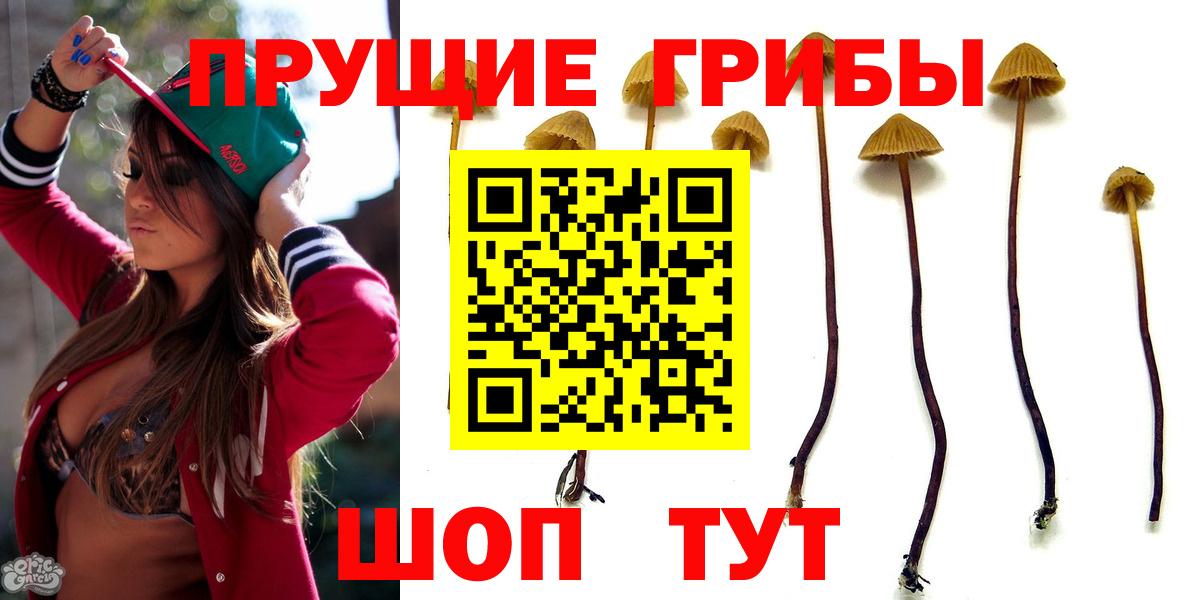 Галлюциногенные грибы ЛСД Новочеркасск